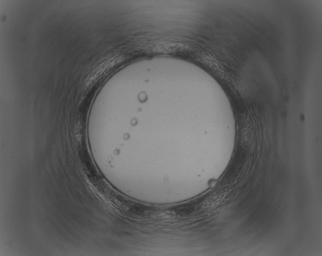 X0000062600683200601110943