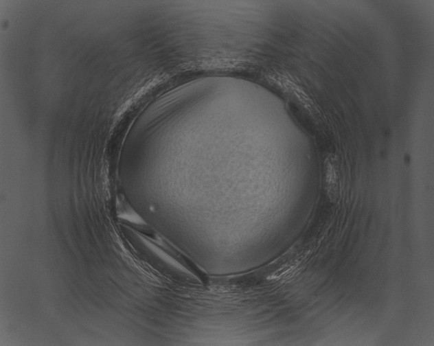 X0000062600684200601110943