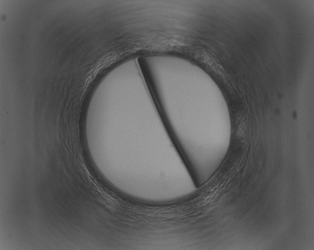 X0000062600685200601110943
