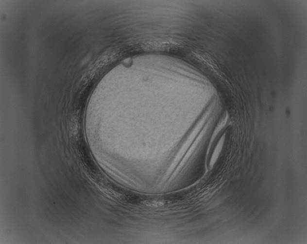 X0000062600687200601110943