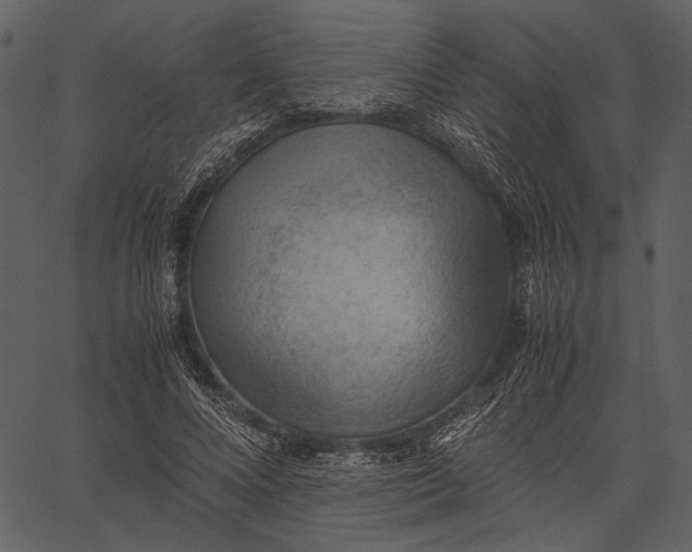 X0000062600688200601110943