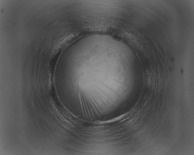 X0000062600692200601110943