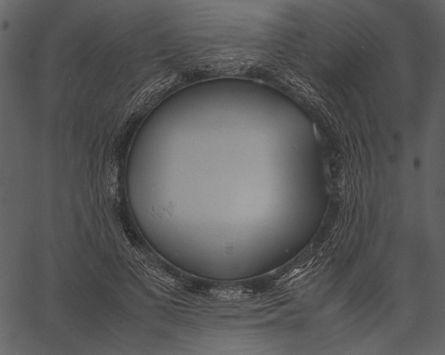 X0000062600693200601110943