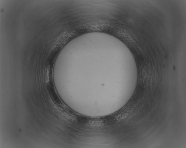 X0000062600694200601110943