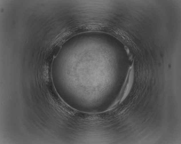 X0000062600696200601110943