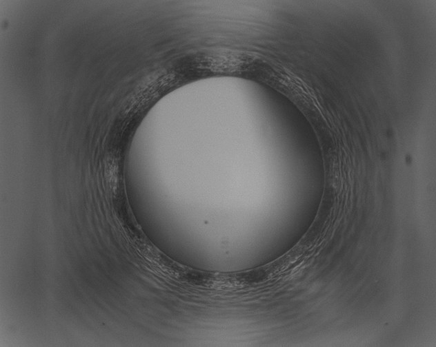 X0000062600697200601110943