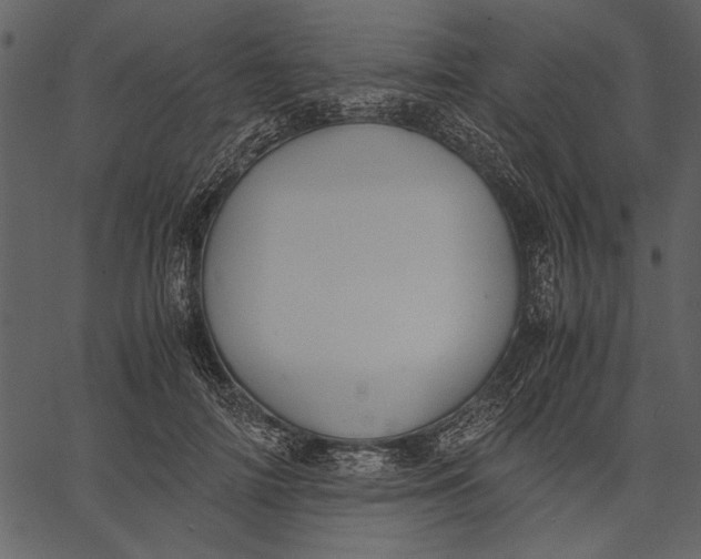 X0000062600698200601110943