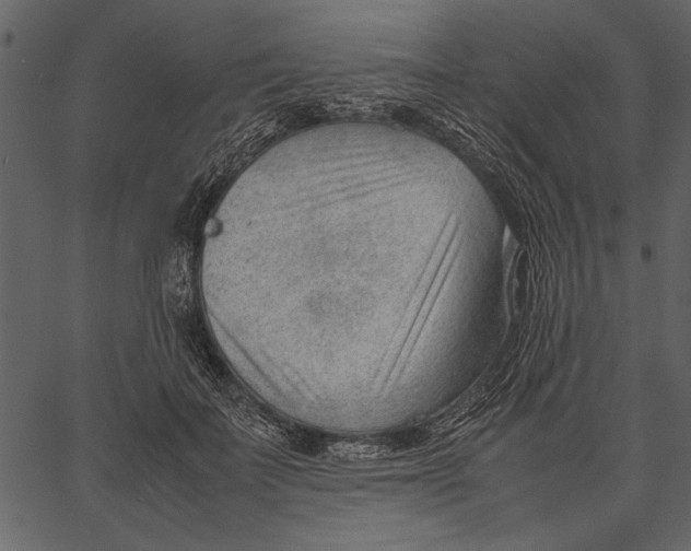 X0000062600699200601110943