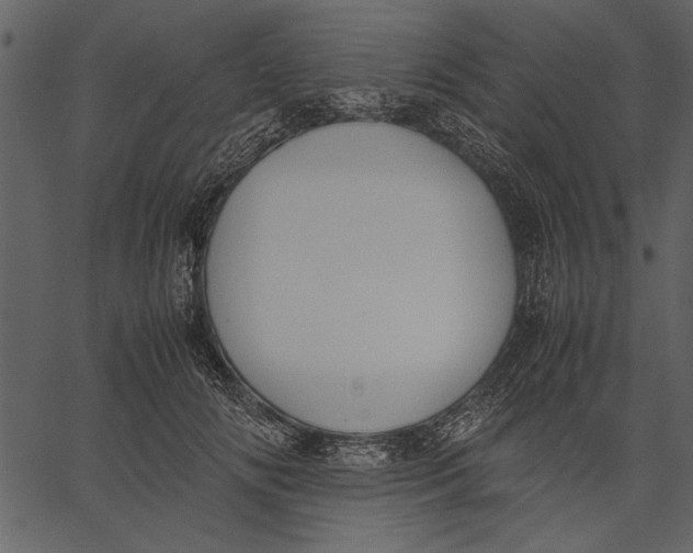 X0000062600702200601110943