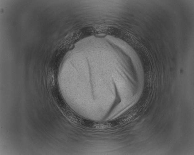X0000062600703200601110943