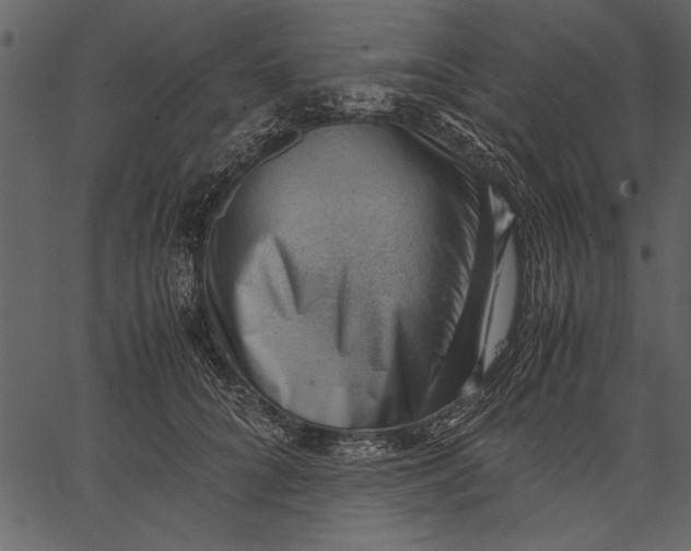 X0000062600704200601110943