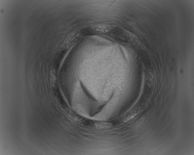 X0000062600707200601110943