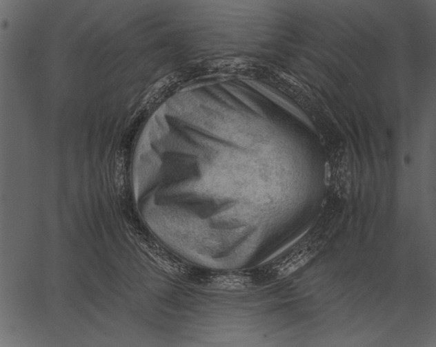 X0000062600708200601110943