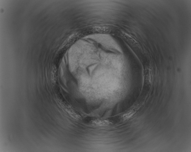 X0000062600712200601110943