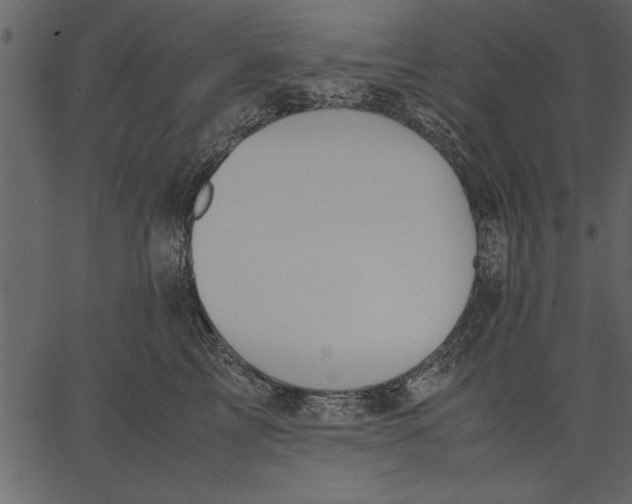 X0000062600713200601110943