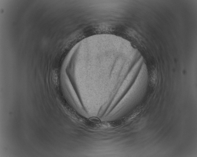 X0000062600715200601110943