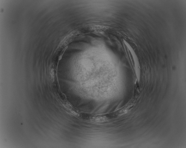 X0000062600716200601110942