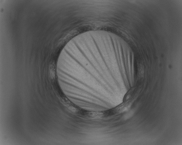 X0000062600719200601110942