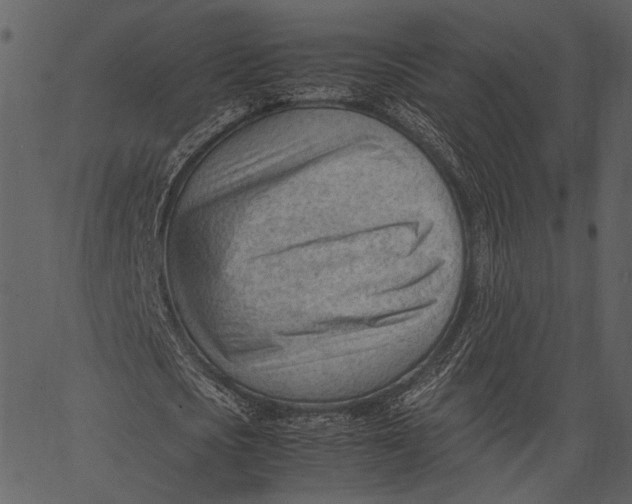X0000062600721200601110942