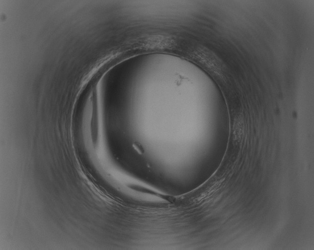 X0000062600722200601110942