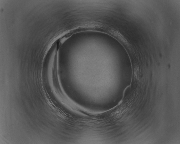 X0000062600724200601110942