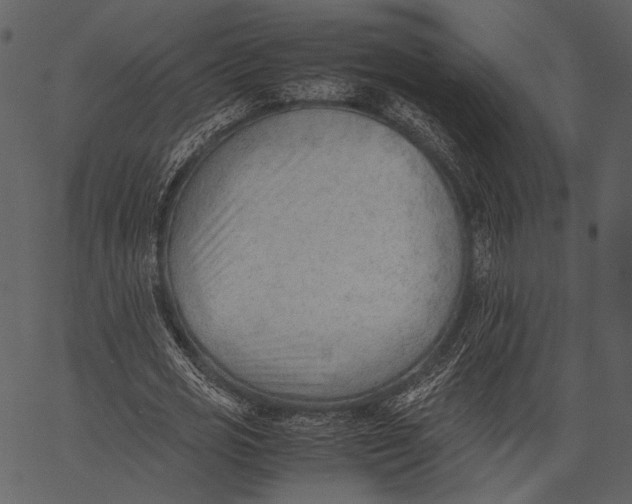 X0000062600725200601110942