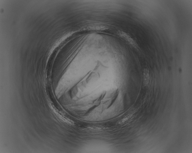 X0000062600726200601110942