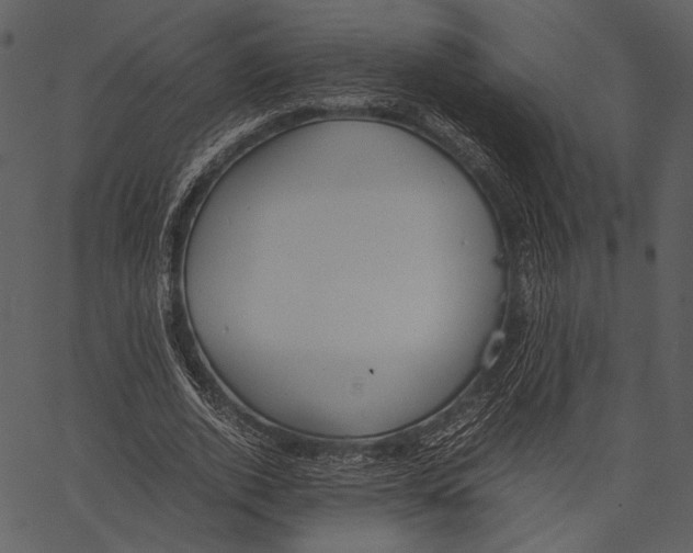X0000062600728200601110942
