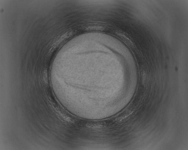 X0000062600729200601110942