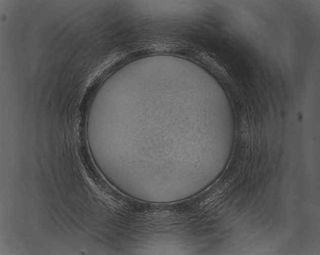 X0000062600730200601110942