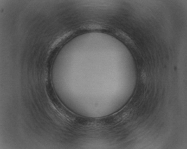 X0000062600732200601110942