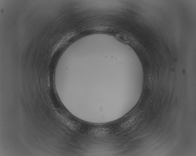 X0000062600734200601110942