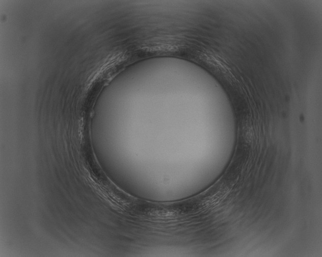 X0000062600735200601110942