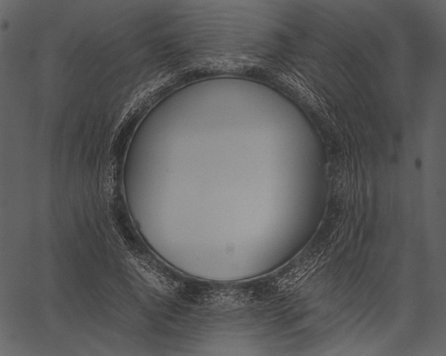 X0000062600736200601110942