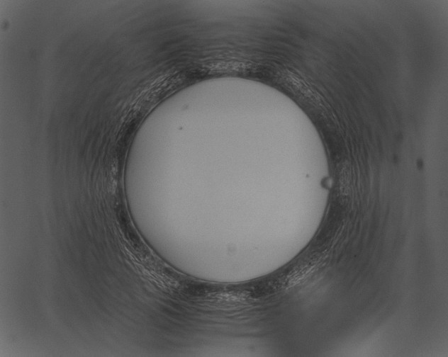 X0000062600737200601110942