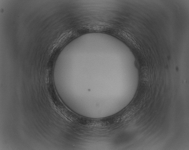 X0000062600738200601110942