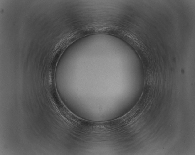 X0000062600740200601110942