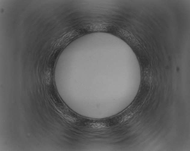 X0000062600741200601110942