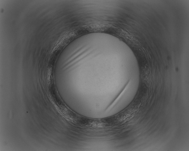 X0000062600742200601110942