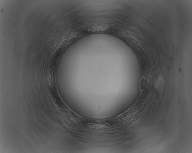 X0000062600743200601110942