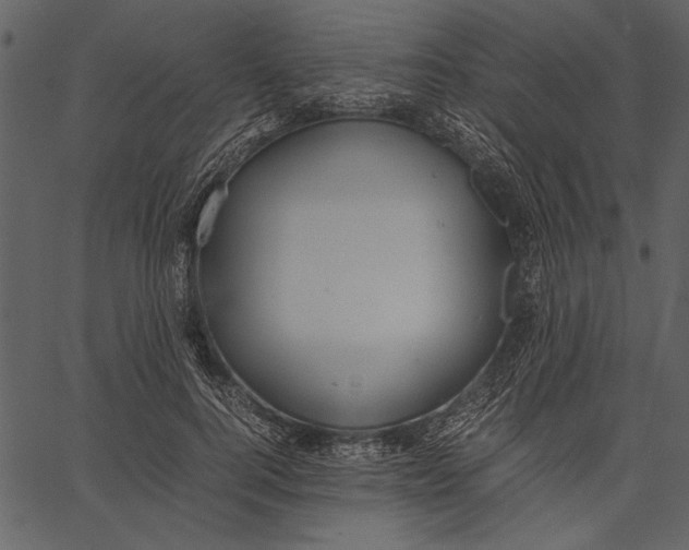 X0000062600744200601110942