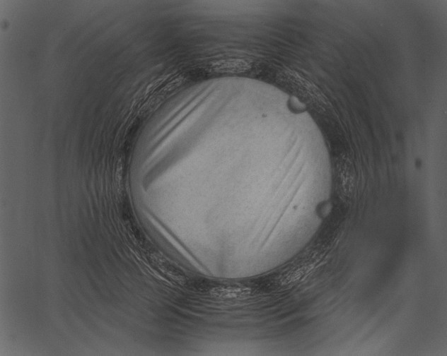 X0000062600745200601110942