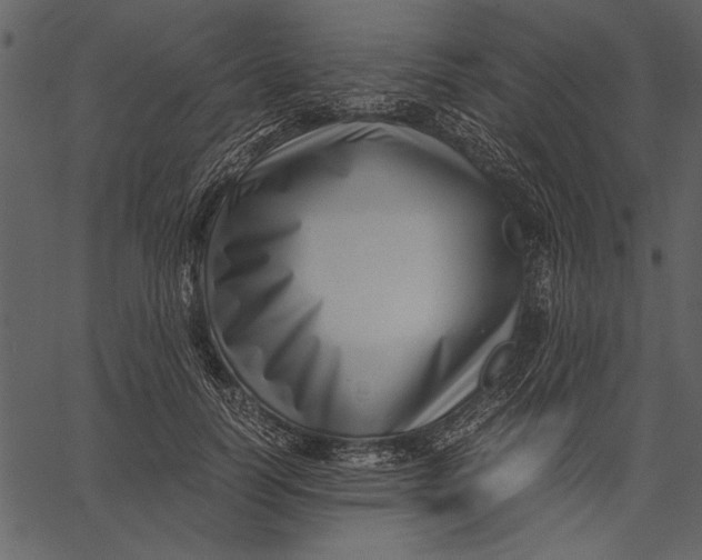 X0000062600746200601110942