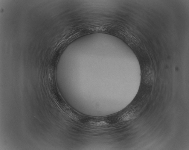 X0000062600747200601110942