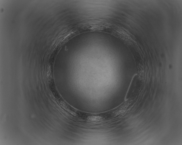 X0000062600748200601110942