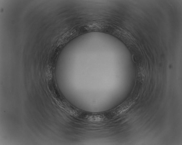 X0000062600751200601110942