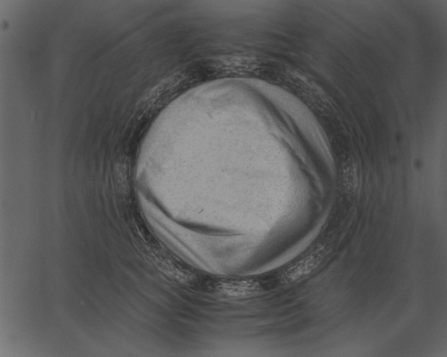 X0000062600757200601110942
