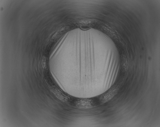 X0000062600758200601110942