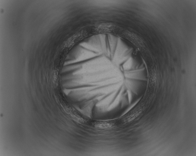 X0000062600759200601110942