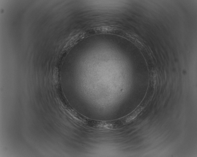 X0000062600760200601110942